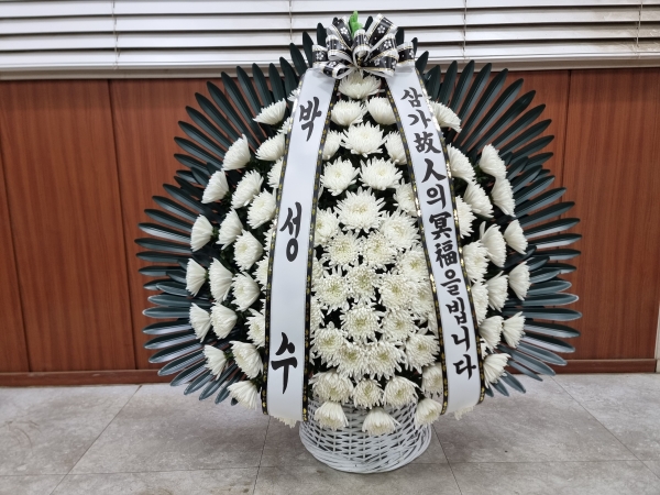 �����ôº��� ǰ��! - �ö��119 �����ٱ���