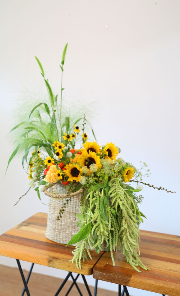 [] Celebrate Fall -  Ƹٿ  ɹ  