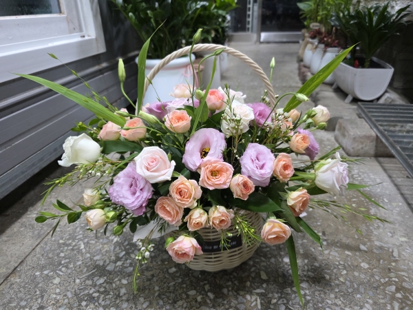[]Rose day-ູ  ɹ  