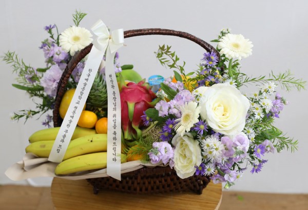 [Ϲٱ] ǳο   - II ɹ  