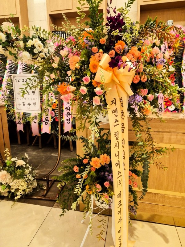 ȥ ȭȯ -ȥ ູԴϴ ɹ  