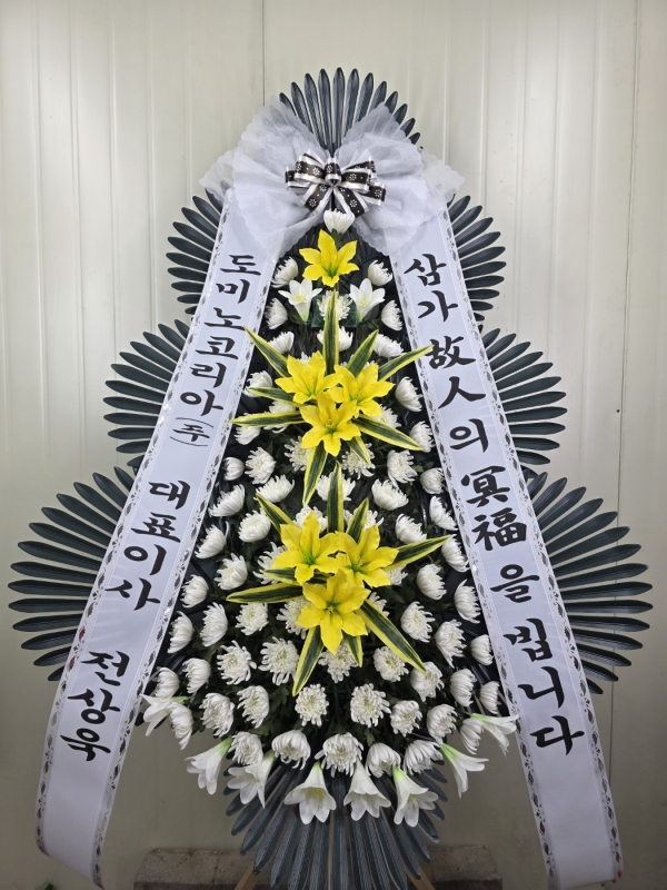 ô  ǰ! - ö119 3ܱ⺻ȭȯ  (Ʈ) ɹ  