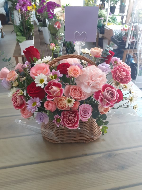 {} ϴ    - Oh my love ɹ  