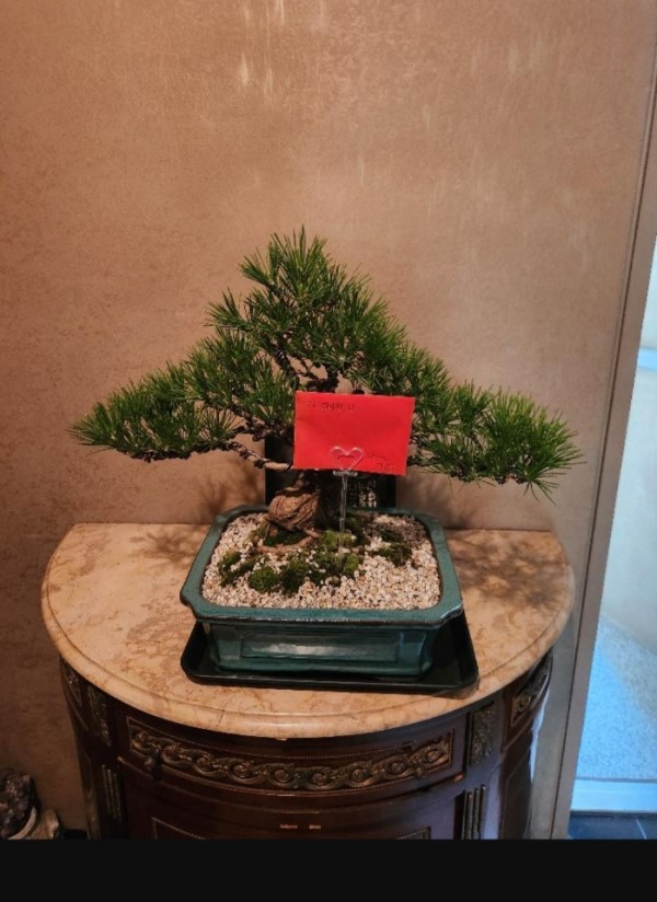 []Office&Nature - ޺ ؼ() ɹ  