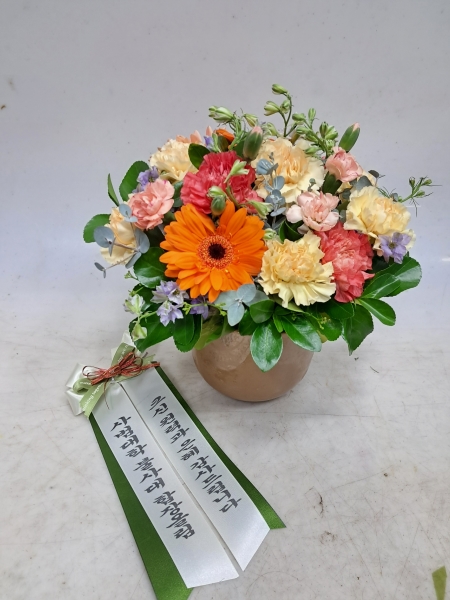 [���ﱤ����]special day-������ �����̾�(ȭ�� ���� �� �� �ֽ��ϴ�) �ɹ�� ���� 