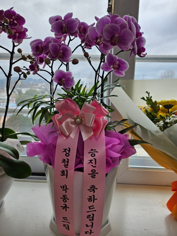 ������ ���� ���� -����ũȣ�� (��) �ɹ�� ���� 