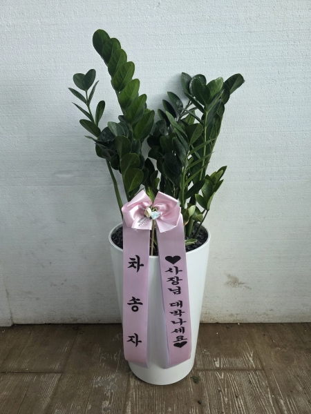 �������� ������õ - �̱׷��� ������ C �ɹ�� ���� 