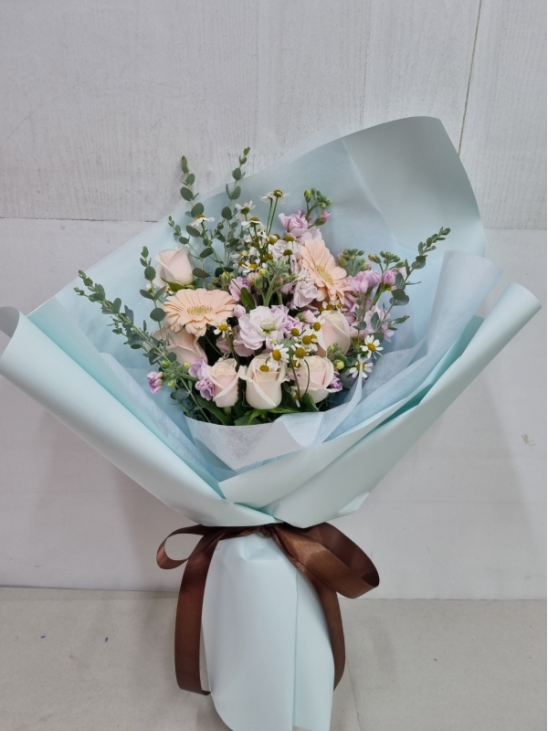 Spring violet - ����� ���� �޻� �ɹ�� ���� 