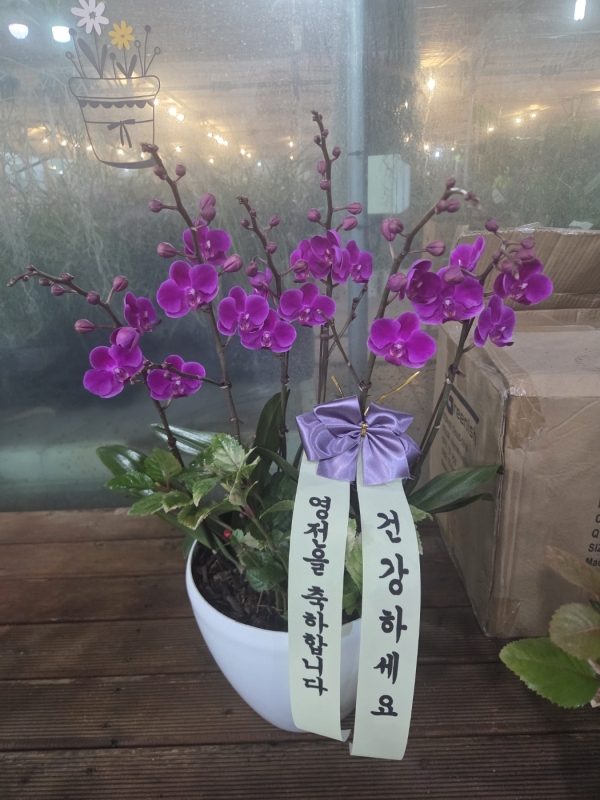 [����]�Ƹ��ٿ��� �ִ� ���� - ���� ȭ���� ��õȫ (��) (ȭ�⺯��) �ɹ�� ���� 