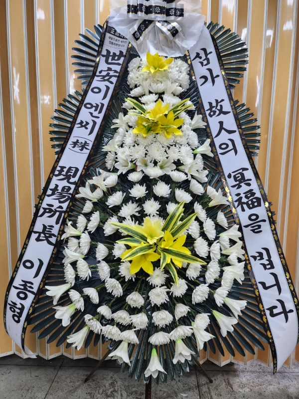 �����ô� ���� ǰ��! - �ö��119 ����3�ܱ⺻ȭȯ  (�������Ʈ) �ɹ�� ���� 