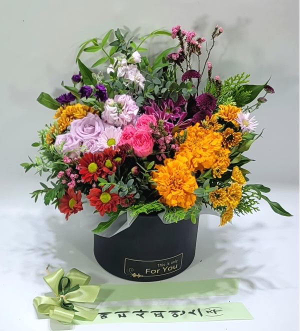 [ ǹ]Fall in love  ź ɹ  