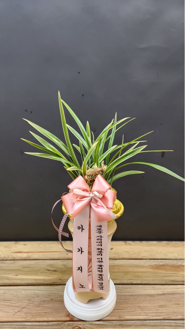 [λ̵ õ]   Ǿִ  ɹ  