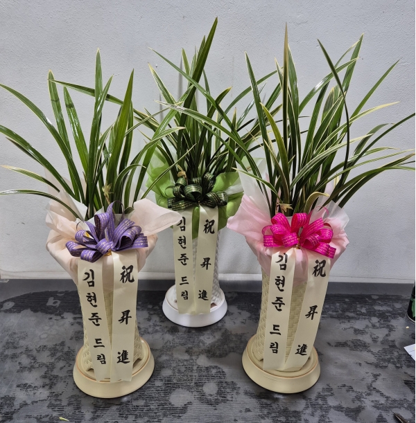 [λ̵ õ] Ͼ Ǿ ο  ɹ  