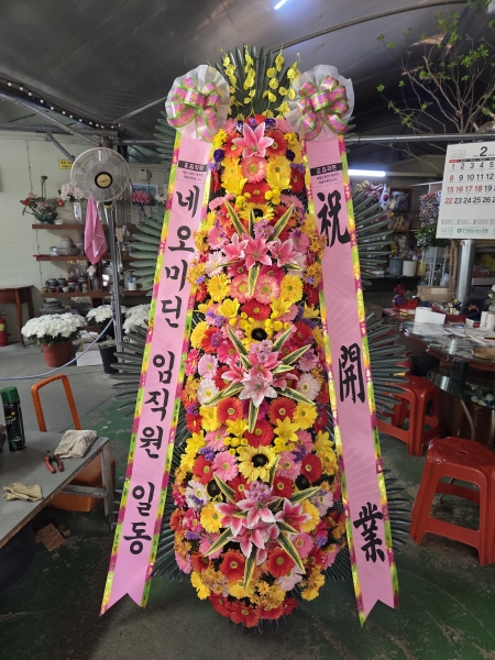 ����3��Ư��(������) �ɹ�� ���� 