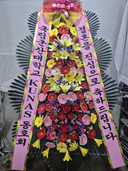 ����3�ܱ⺻ȭȯ �ɹ�� ���� 