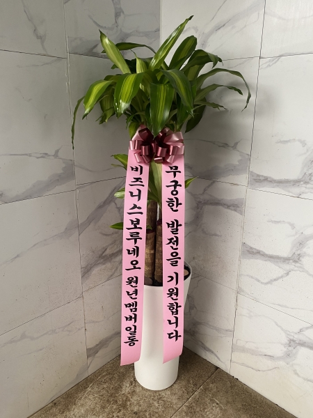 [ȭ�а�����õ] ���� �ɹ�� ���� 