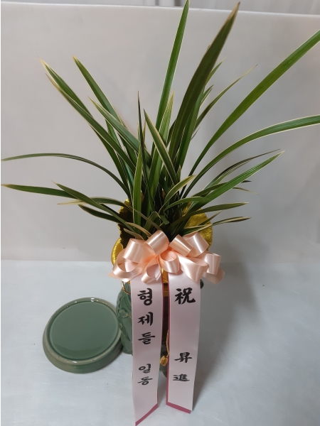 ������ �����մϴ� ��Ȳ �ɹ�� ���� 