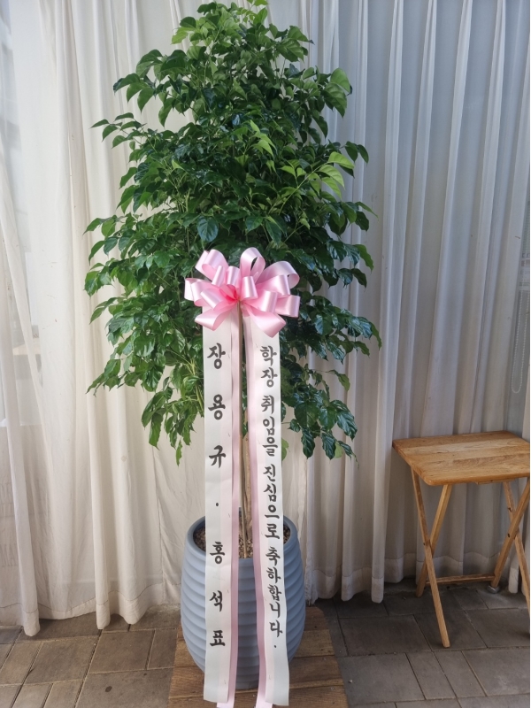 ���޺п� ���� ����ȭ�� - ����Ʈ��(Ư��ǰ) �ɹ�� ���� 