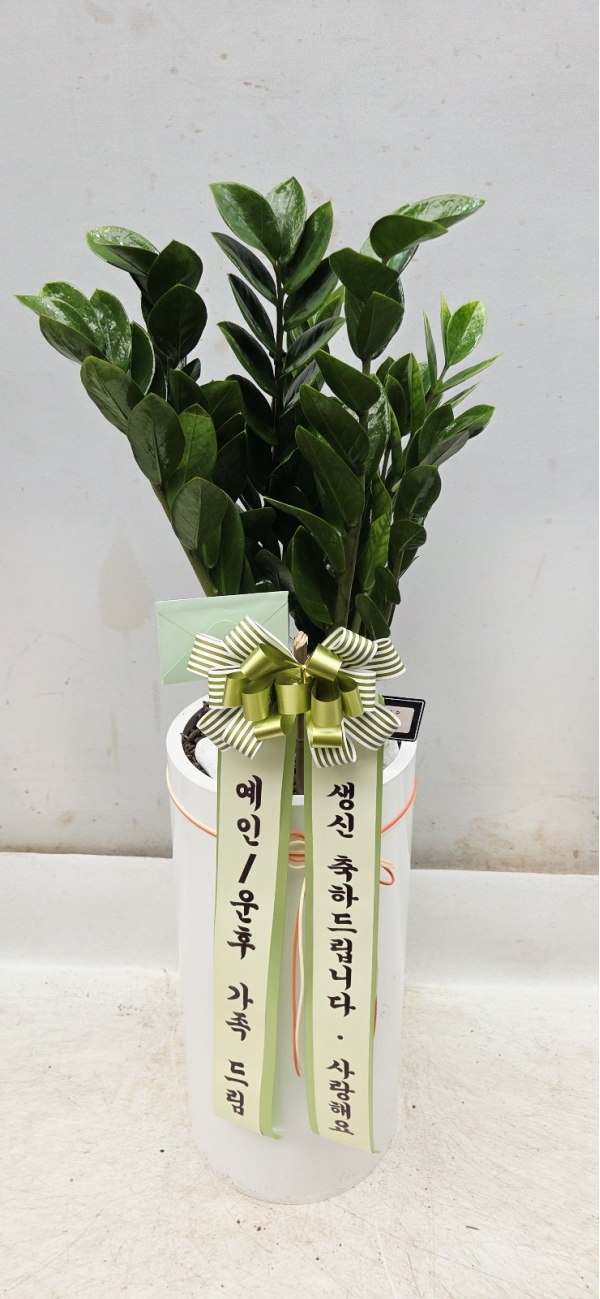 �ǳ����� Ű��� ���� �������� ����  ������(��) �ɹ�� ���� 