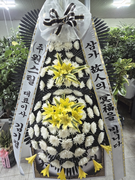 ������ ���� ���� 3�� ȭȯ �ɹ�� ���� 