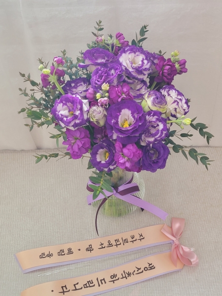 [������] Cute violet �ɹ�� ���� 