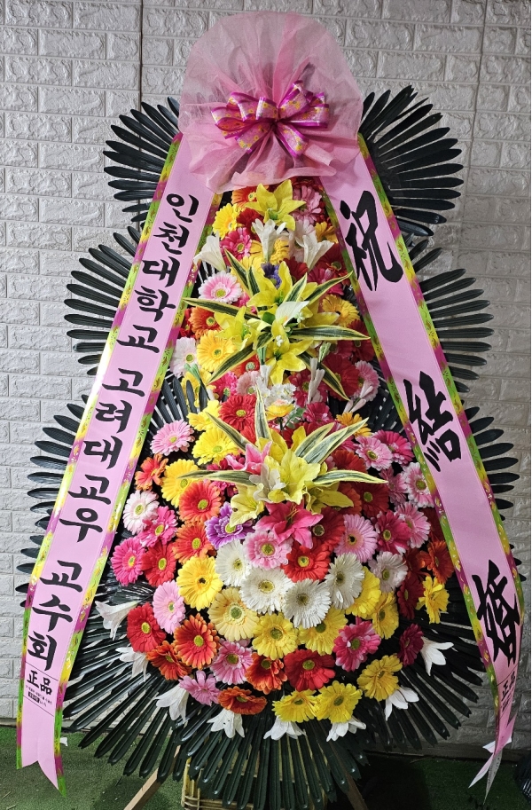 ������ ���� ����3��ȭȯ �ɹ�� ���� 