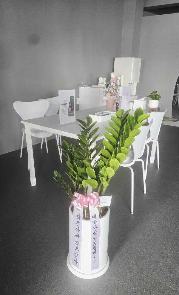 ������ �ɹ�� ���� 