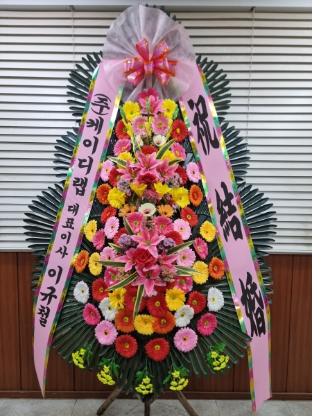 ����3�ܱ⺻ȭȯ �ɹ�� ���� 