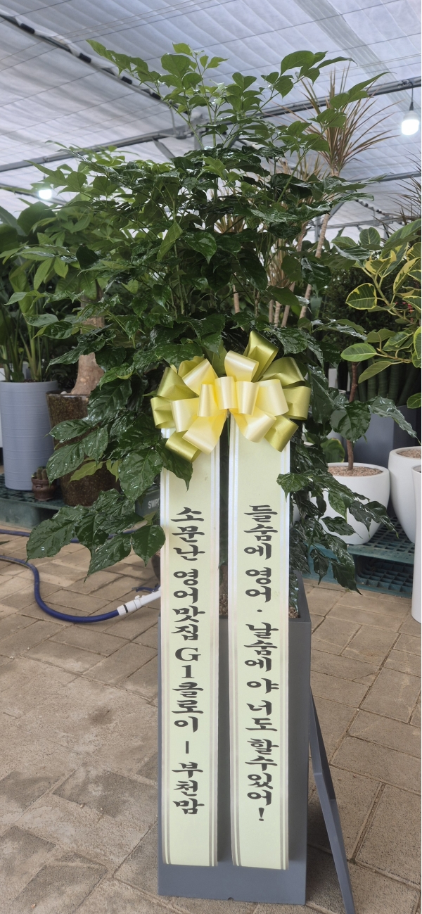 �������� �����ִ� ���׸��� �Ĺ� - �캸��(ȭ�⺯�氡��) �ɹ�� ���� 