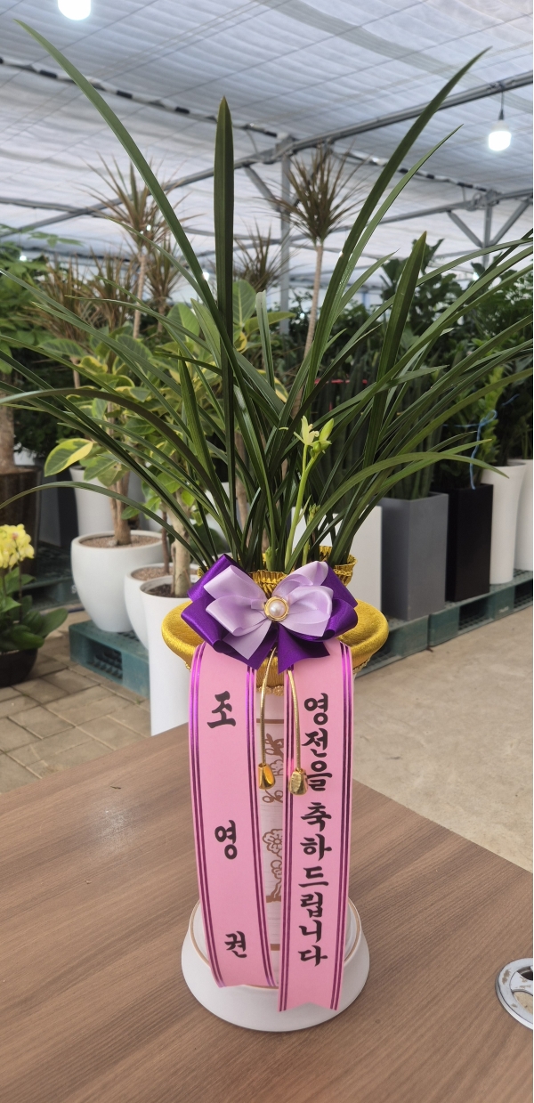 [�λ��̵� ��õ] ���� ���� �Ǿ��ִ� ����� �ɹ�� ���� 