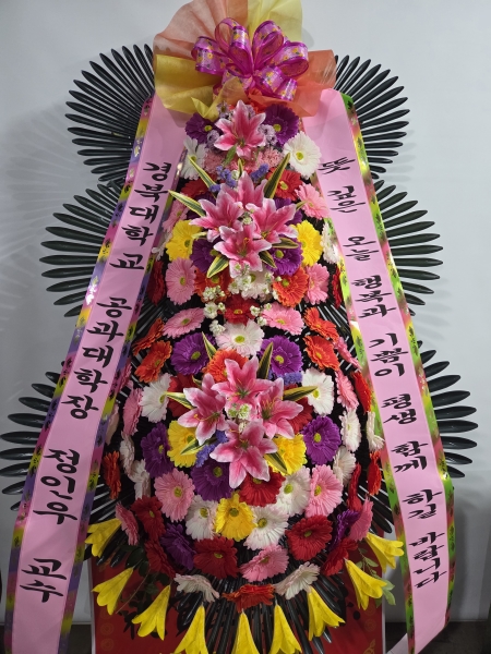 ����3�ܱ⺻ȭȯ �ɹ�� ���� 