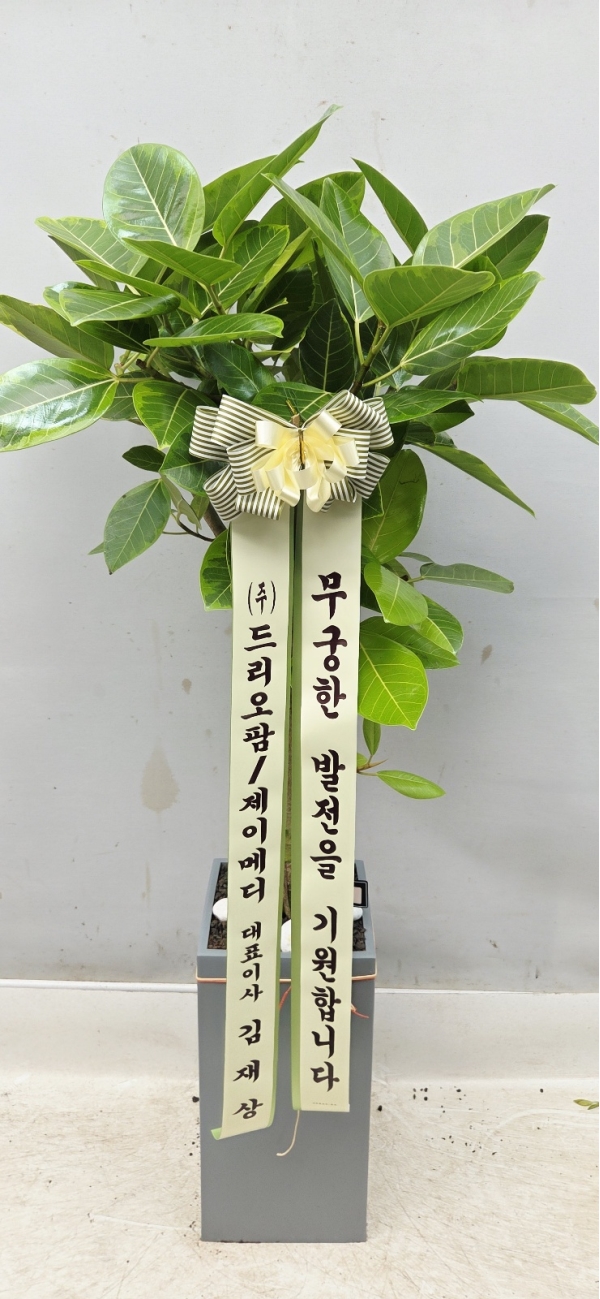 ������ ������ ���� - �𰥰�������(Ư��) �ɹ�� ���� 