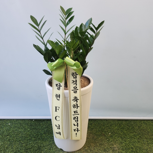 �������� ������õ - �̱׷��� ������ C �ɹ�� ���� 