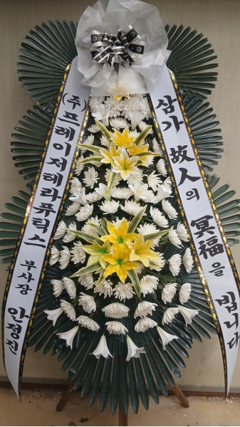 ���� �ֵ��� ���� ����ȭȯ �ɹ�� ���� 