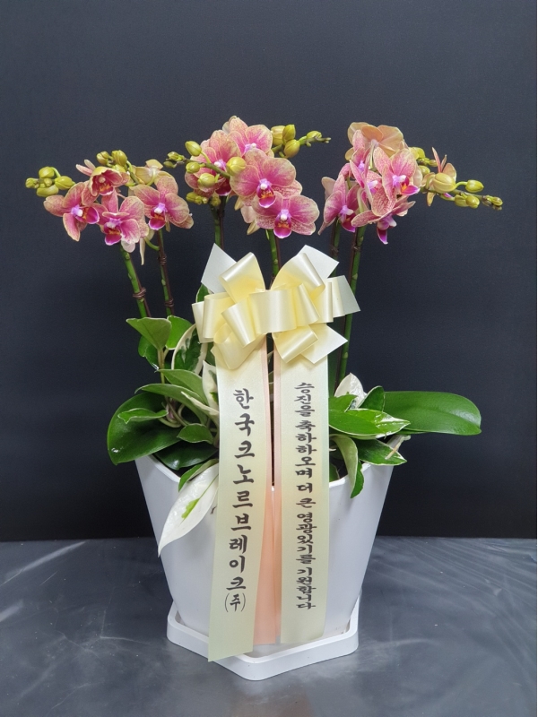 [����]�����ϴ� ���� ��� - ȣ���� ����� (��) (ȭ�⺯��) �ɹ�� ���� 