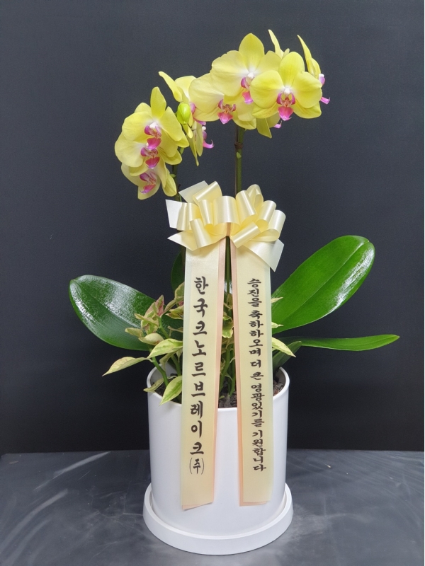 �������� ������ ������ ����ϸ�, ��� ȣ���� �ɹ�� ���� 