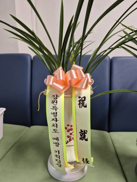 [�λ��̵� ��õ] �Ͼ���� �Ǿ�� ���ο� ����� �ɹ�� ���� 