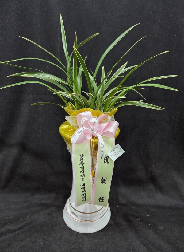 [�λ��̵� ��õ] �Ͼ���� �Ǿ�� ���ο� ����� �ɹ�� ���� 