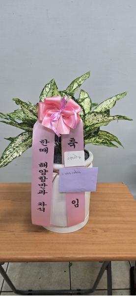 ���ٸ� �Ƹ��ٿ��� �� - ��Ų��� �ɹ�� ���� 