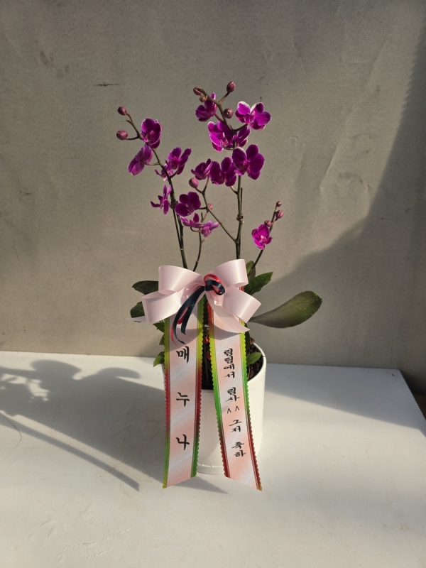 ������ ������ ���, ������ ������ ���� ���� ��ũ ȣ���� ��õȫ �ɹ�� ���� 