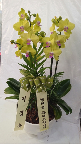 [����]�����ϴ� ���� ��� - ȣ���� ����� (��) (ȭ�⺯��) �ɹ�� ���� 