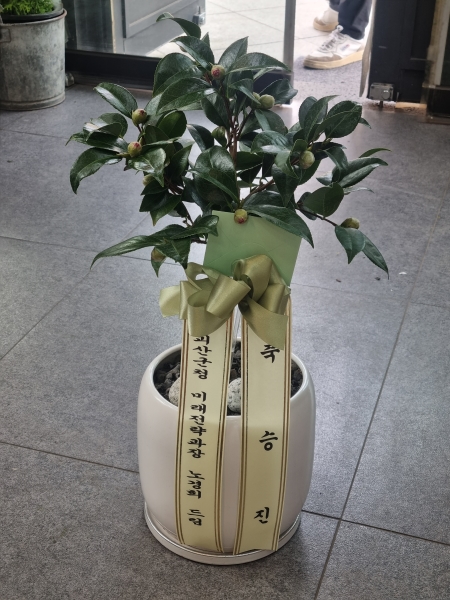 ��,�ɵ��� ����  - Mild day of spring �ɹ�� ���� 