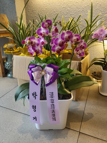 ����� �����մϴ� - ��Ȥ���� ����� ����ũ�ɺ��� �ɹ�� ���� 