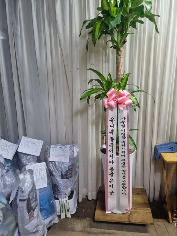 ����� �ҷ����� �Ƹ��ٿ� �ǳ��Ĺ� - ����(Ư��) �ɹ�� ���� 