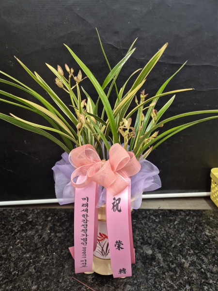 ö��ҽ� �ɹ�� ���� 