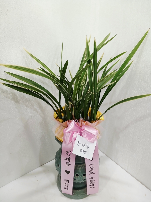 ��ǰ����� - Ȳ��� �ɹ�� ���� 