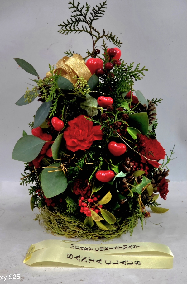 [������] 12���� ���� -Oh, Christmas Tree �ɹ�� ���� 