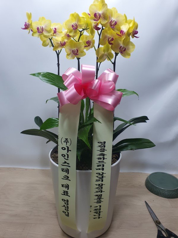 �޽��� �Ǵ� ��Ȱ���� - Smile moon_��Ʋ�� (��) (ȭ�⺯��) �ɹ�� ���� 