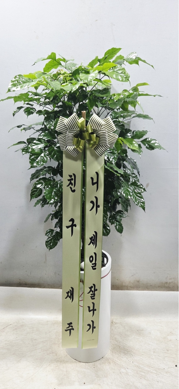 ������õ �������� - ���� �캸��B �ɹ�� ���� 