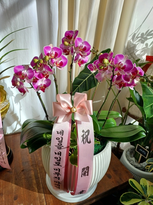 ������ ù������ ���ο� ������ �����ϴ�, ���� ��ũ ȣ���� ��õȫ �ɹ�� ���� 